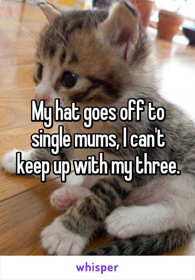 My hat goes off to single mums, I can't keep up with my three.