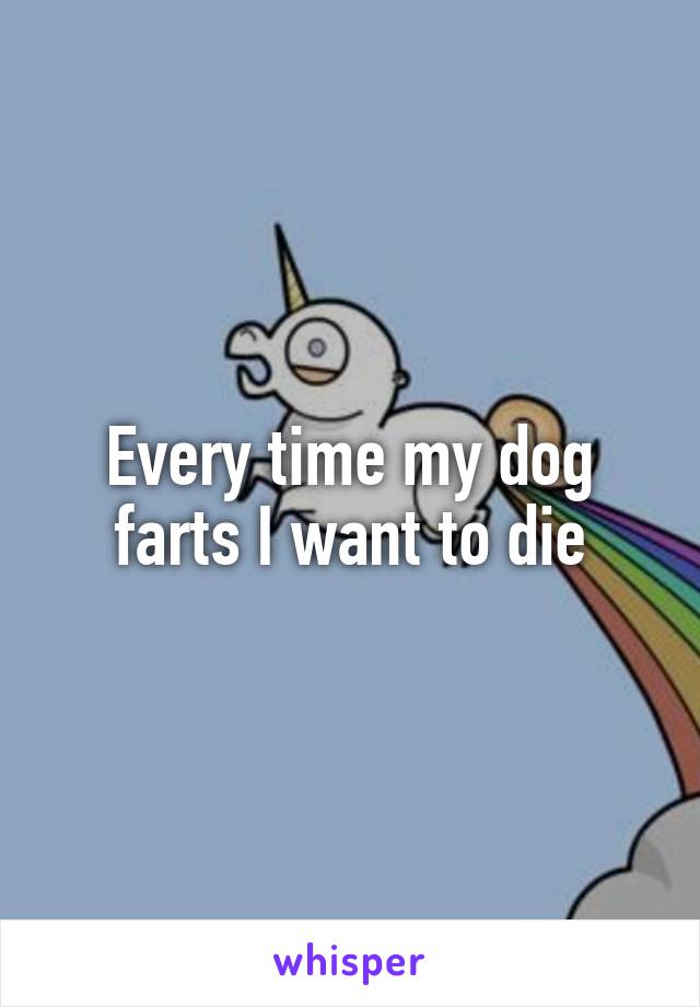 Every time my dog farts I want to die