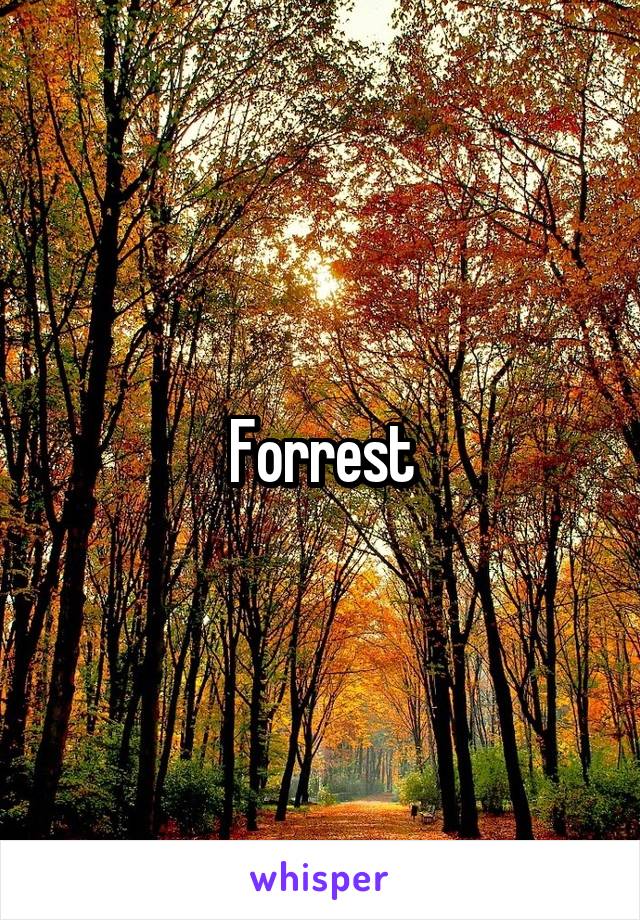 Forrest