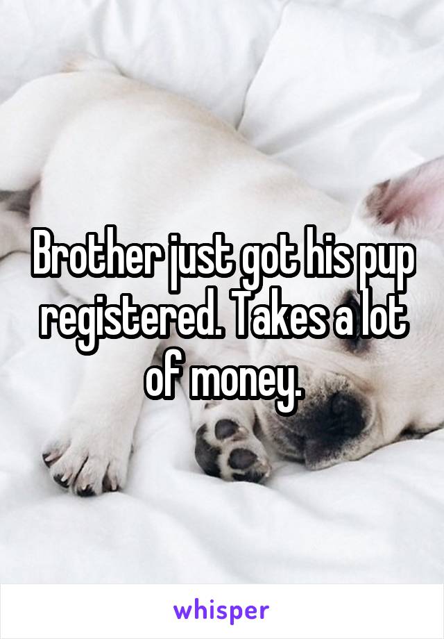 Brother just got his pup registered. Takes a lot of money.