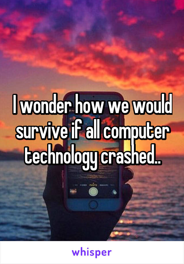 I wonder how we would survive if all computer technology crashed..