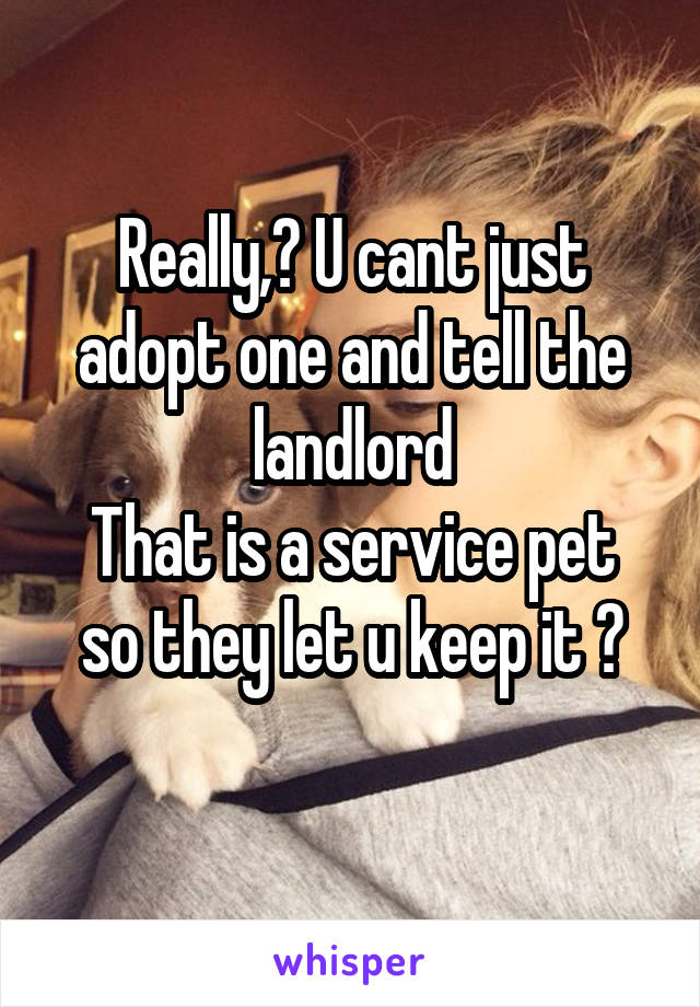 Really,? U cant just adopt one and tell the landlord
That is a service pet so they let u keep it ?
