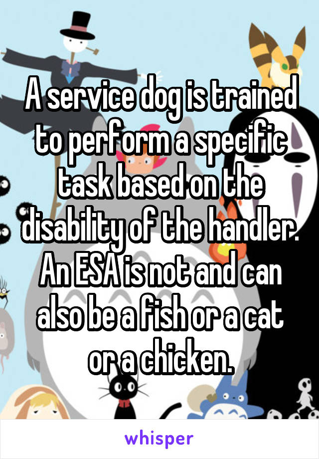 A service dog is trained to perform a specific task based on the disability of the handler. An ESA is not and can also be a fish or a cat or a chicken.