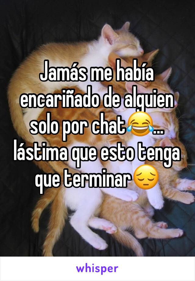 Jamás me había encariñado de alguien solo por chat😂... lástima que esto tenga que terminar😔
