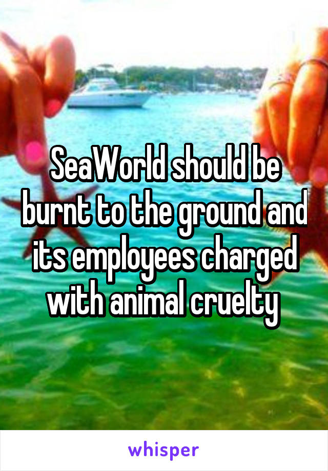 SeaWorld should be burnt to the ground and its employees charged with animal cruelty 