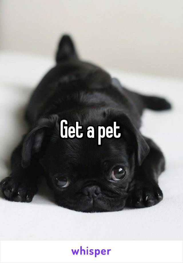 Get a pet 