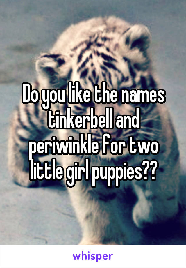 Do you like the names tinkerbell and periwinkle for two little girl puppies??