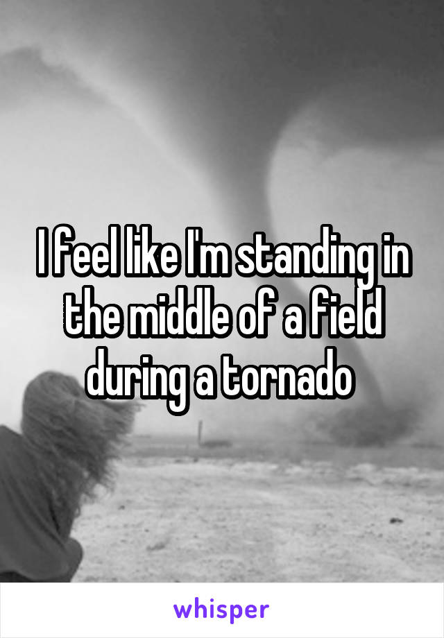 I feel like I'm standing in the middle of a field during a tornado 