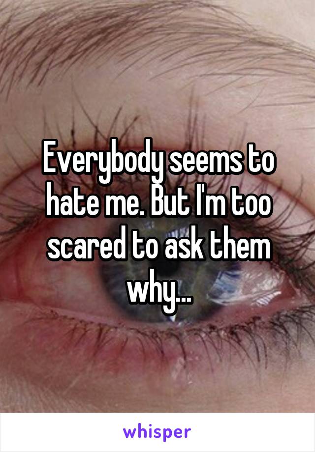 Everybody seems to hate me. But I'm too scared to ask them why...