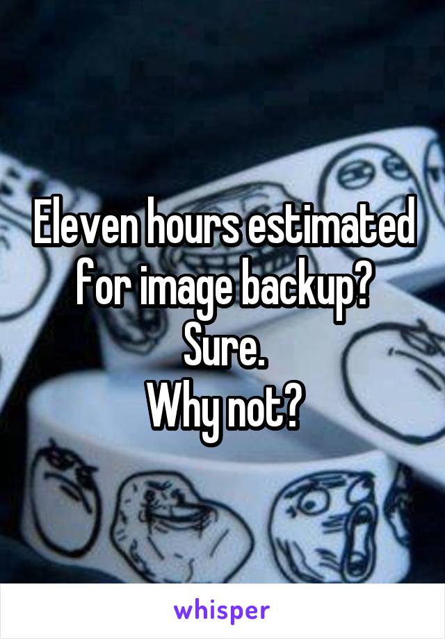 Eleven hours estimated for image backup?
Sure.
Why not?