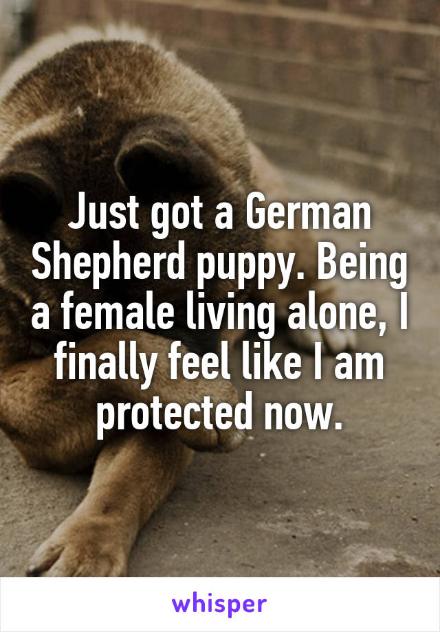 Just got a German Shepherd puppy. Being a female living alone, I finally feel like I am protected now.