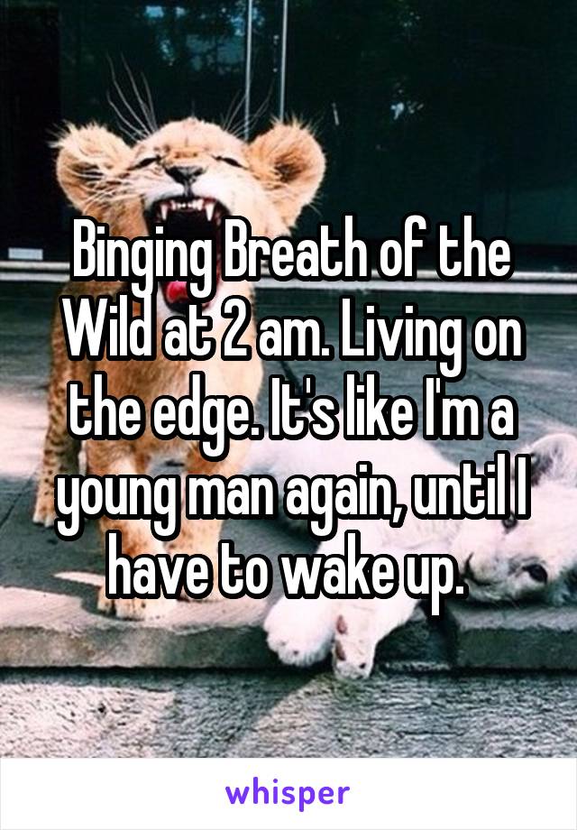 Binging Breath of the Wild at 2 am. Living on the edge. It's like I'm a young man again, until I have to wake up. 