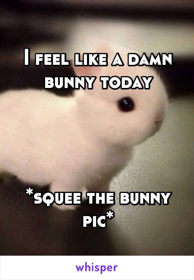 I feel like a damn bunny today




*squee the bunny pic*