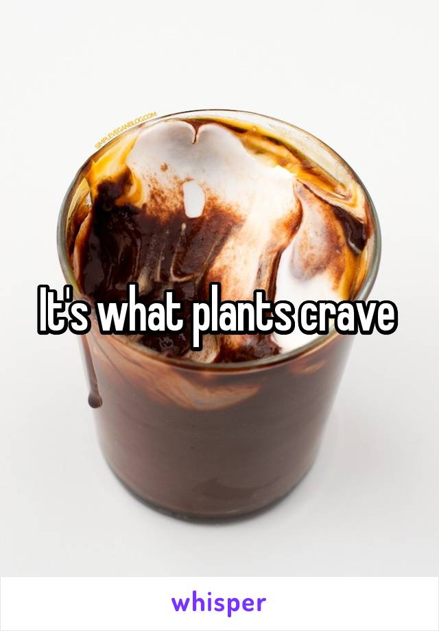 It's what plants crave 