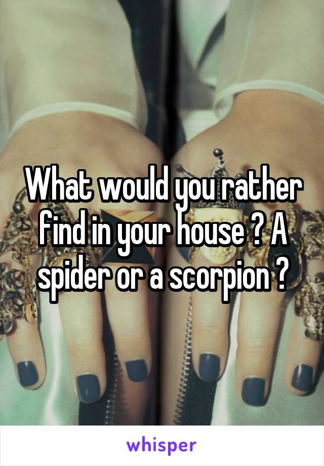 What would you rather find in your house ? A spider or a scorpion ?