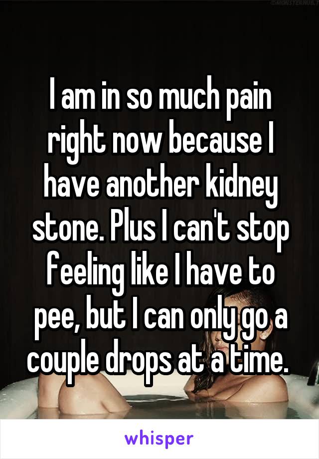 I am in so much pain right now because I have another kidney stone. Plus I can't stop feeling like I have to pee, but I can only go a couple drops at a time. 