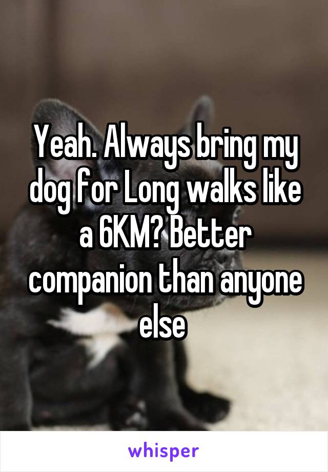 Yeah. Always bring my dog for Long walks like a 6KM? Better companion than anyone else 