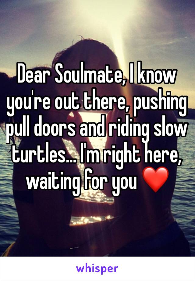 Dear Soulmate, I know you're out there, pushing pull doors and riding slow turtles… I'm right here, waiting for you ❤️