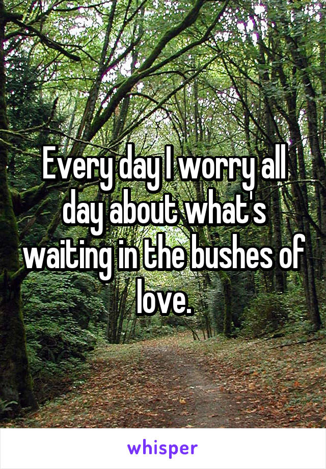 Every day I worry all day about what's waiting in the bushes of love.