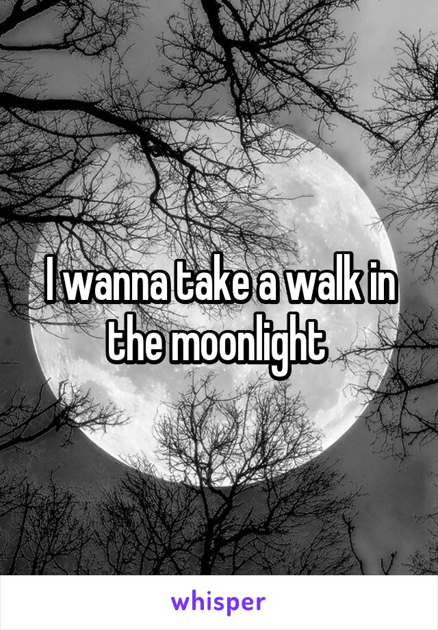 I wanna take a walk in the moonlight 