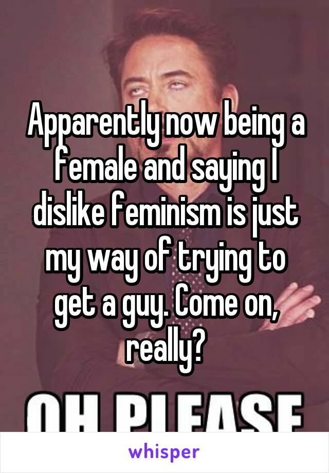 Apparently now being a female and saying I dislike feminism is just my way of trying to get a guy. Come on, really?