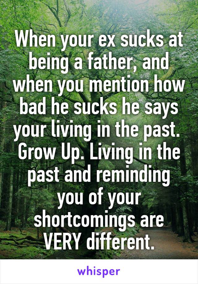 When your ex sucks at being a father, and when you mention how bad he sucks he says your living in the past. 
Grow Up. Living in the past and reminding you of your shortcomings are VERY different.