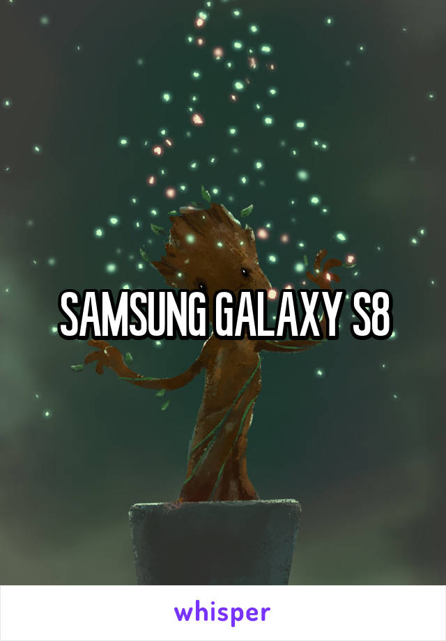 SAMSUNG GALAXY S8