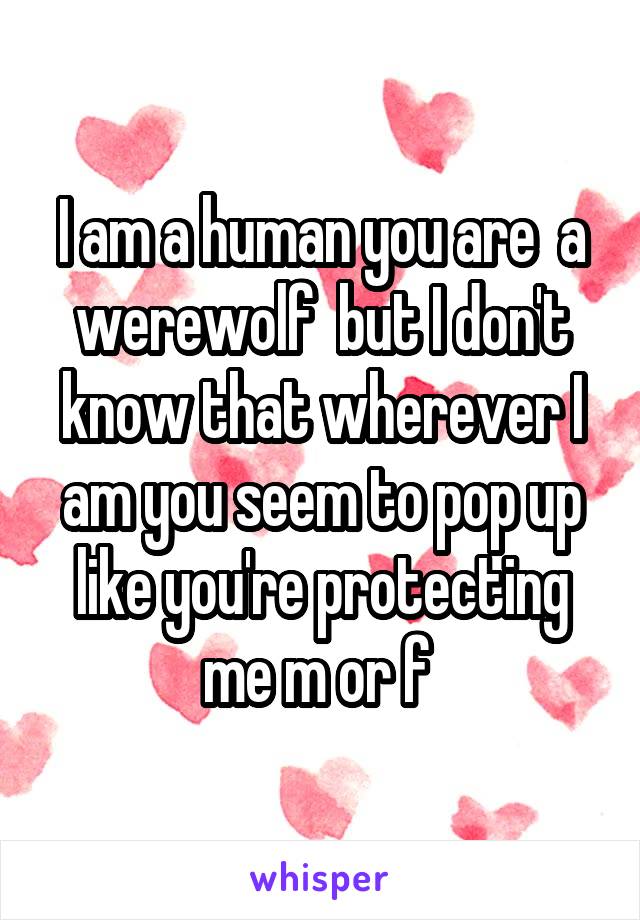 I am a human you are  a werewolf  but I don't know that wherever I am you seem to pop up like you're protecting me m or f 