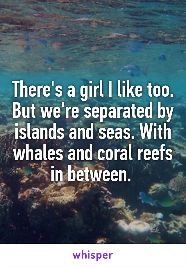 There's a girl I like too. But we're separated by islands and seas. With whales and coral reefs in between. 