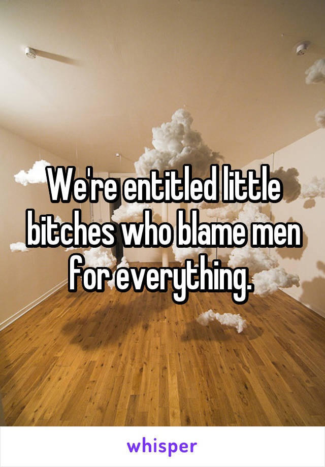 We're entitled little bitches who blame men for everything. 