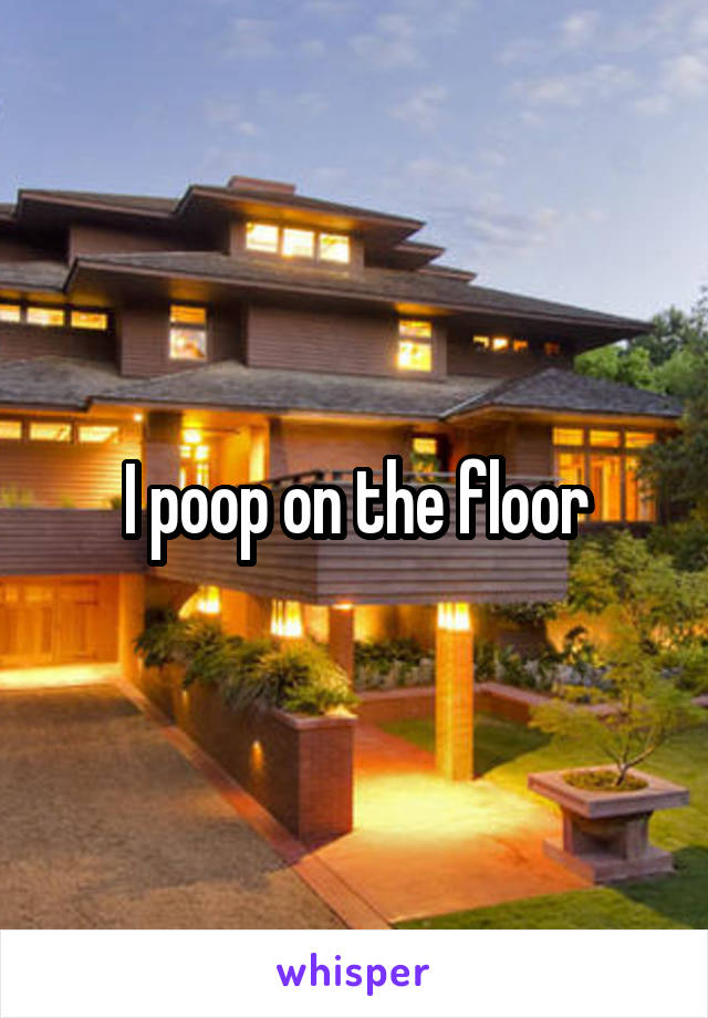 I poop on the floor