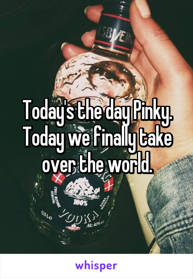 Today's the day Pinky. Today we finally take over the world.