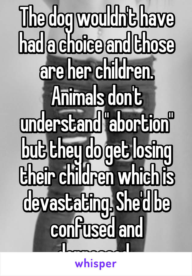 The dog wouldn't have had a choice and those are her children. Animals don't understand "abortion" but they do get losing their children which is devastating. She'd be confused and depressed. 