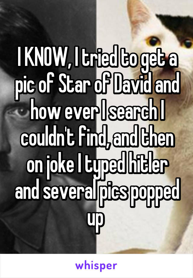 I KNOW, I tried to get a pic of Star of David and how ever I search I couldn't find, and then on joke I typed hitler and several pics popped up 