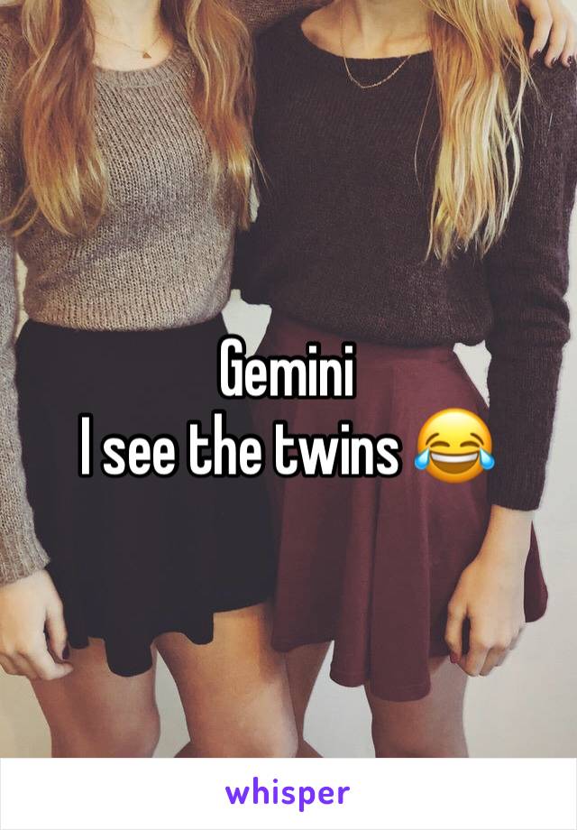 Gemini
I see the twins 😂