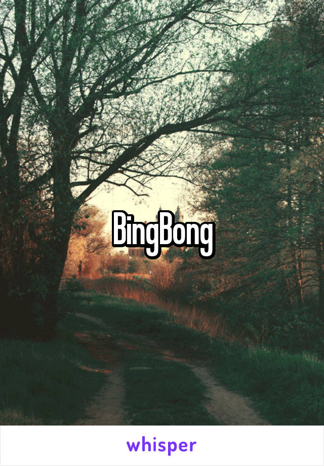 BingBong