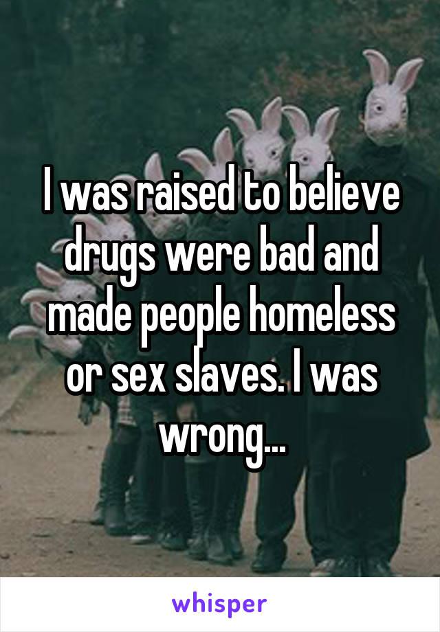 I was raised to believe drugs were bad and made people homeless or sex slaves. I was wrong...