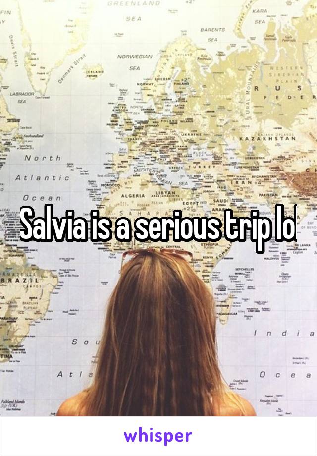 Salvia is a serious trip lol