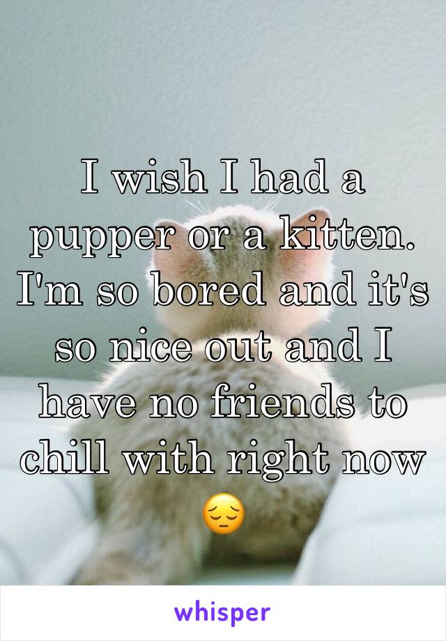 I wish I had a pupper or a kitten. I'm so bored and it's so nice out and I have no friends to chill with right now 😔