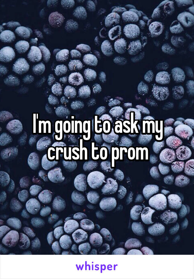 I'm going to ask my crush to prom