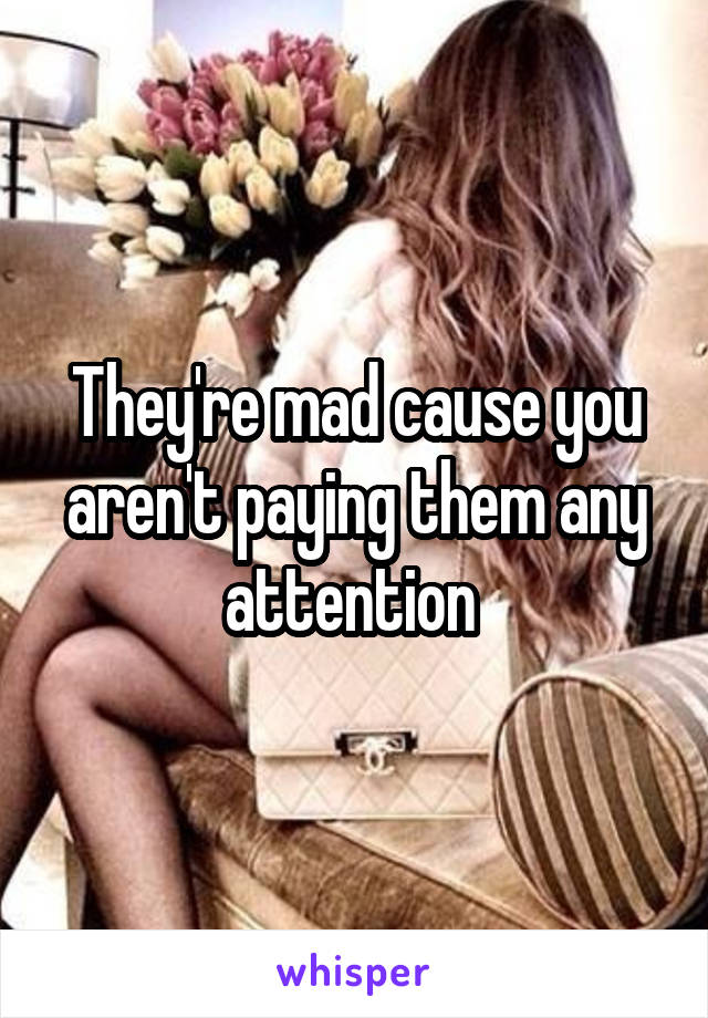 They're mad cause you aren't paying them any attention 