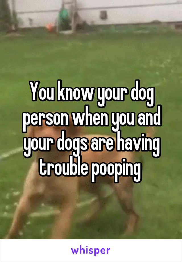 You know your dog person when you and your dogs are having trouble pooping 