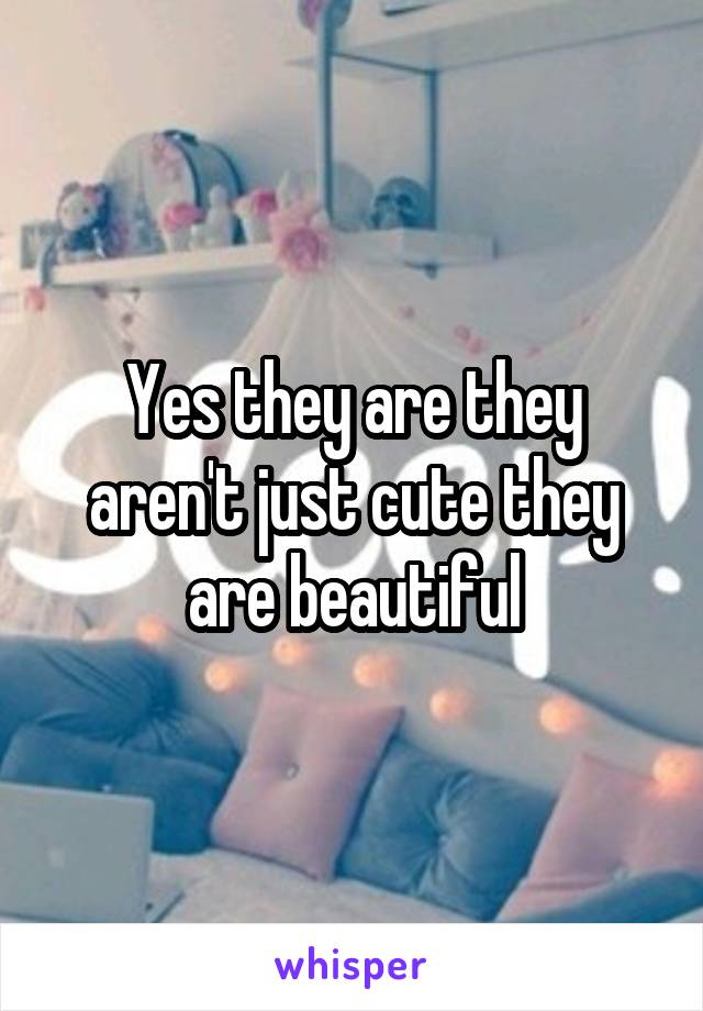 Yes they are they aren't just cute they are beautiful