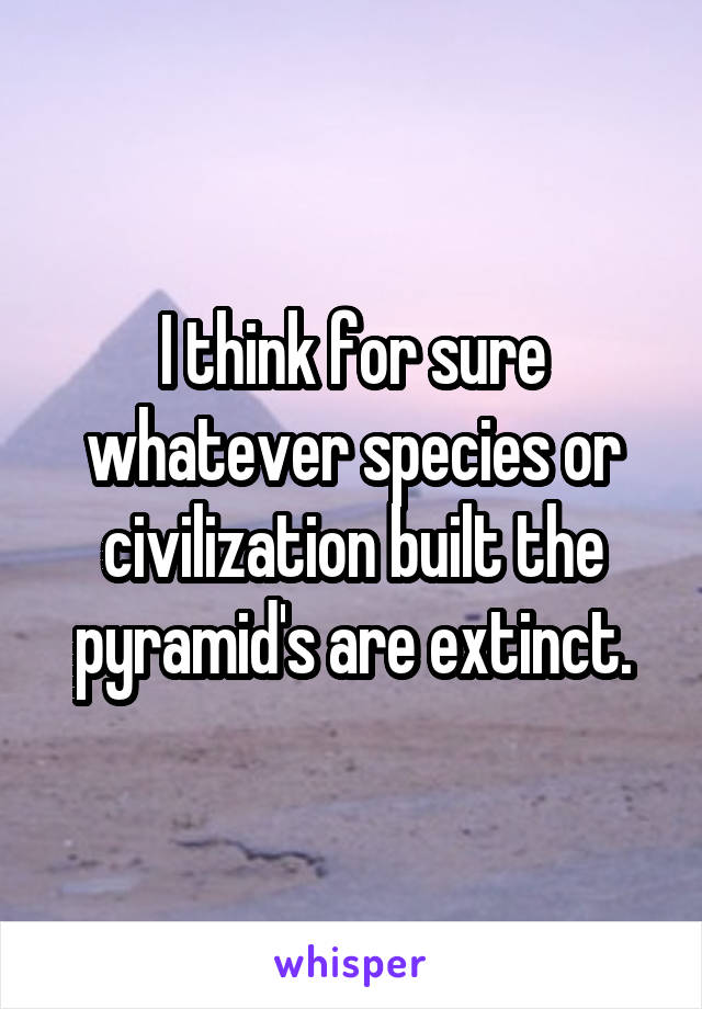 I think for sure whatever species or civilization built the pyramid's are extinct.
