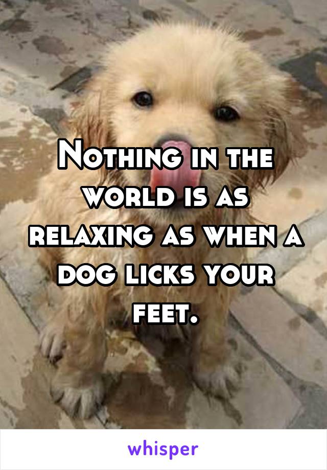 Nothing in the world is as relaxing as when a dog licks your feet.