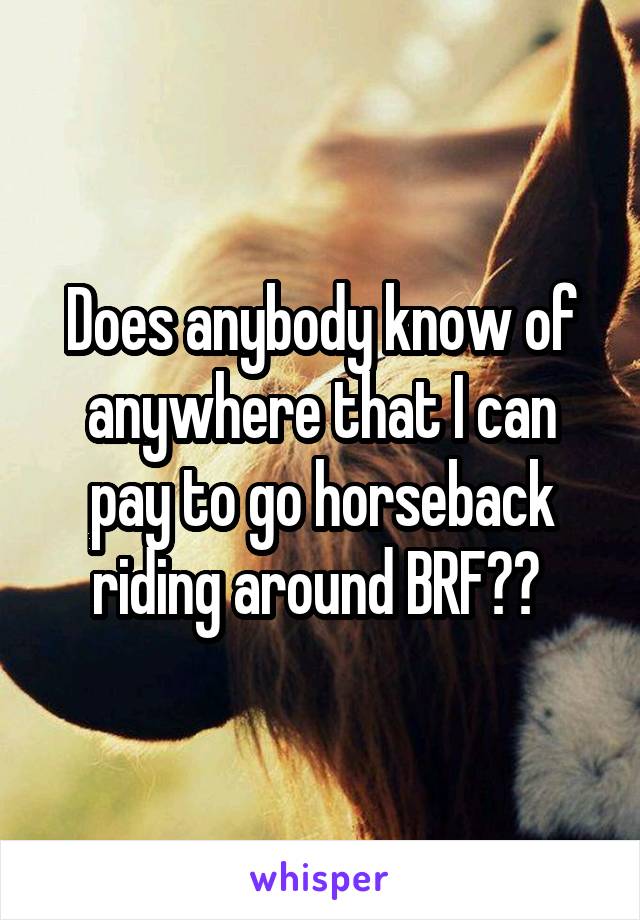 Does anybody know of anywhere that I can pay to go horseback riding around BRF?? 