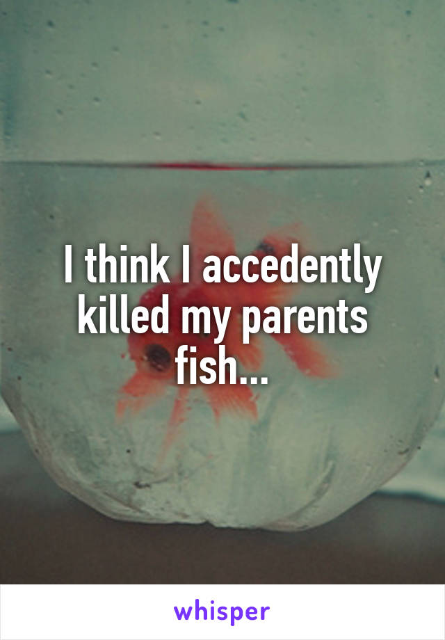I think I accedently killed my parents fish...
