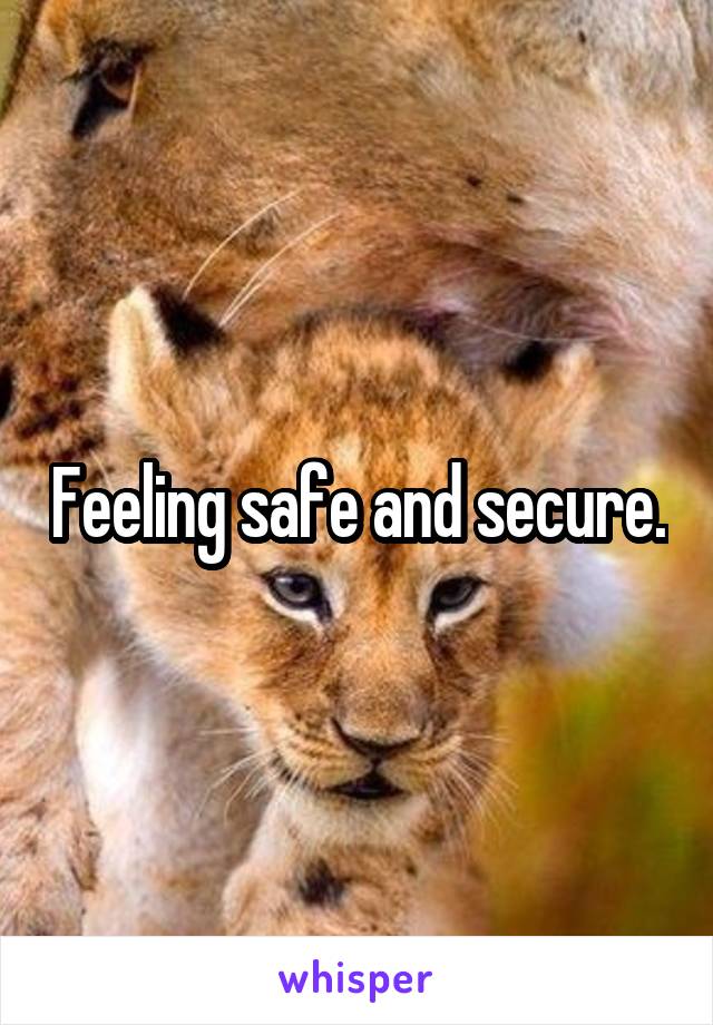 Feeling safe and secure.