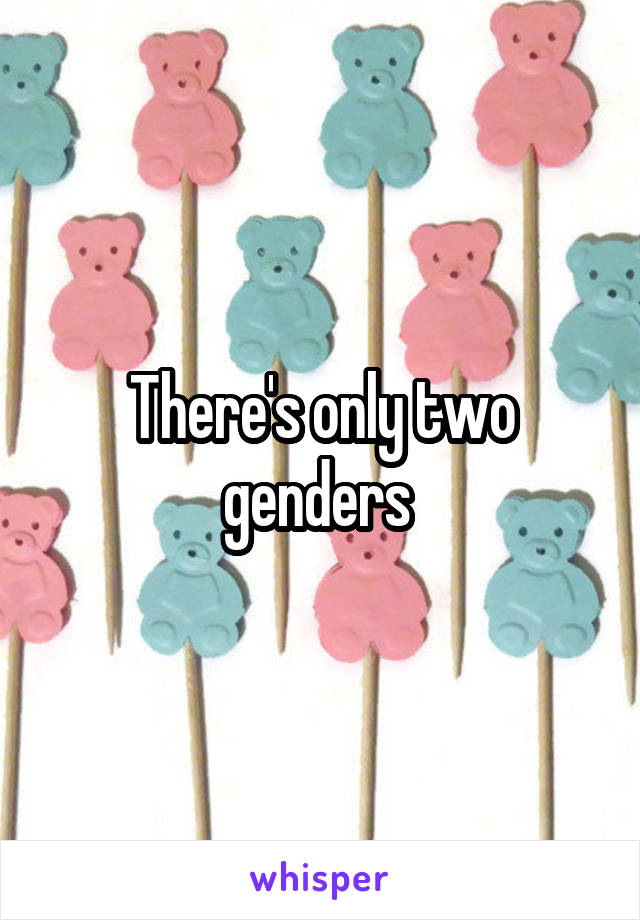 There's only two genders 