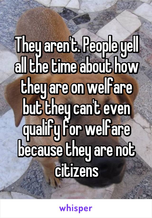 They aren't. People yell all the time about how they are on welfare but they can't even qualify for welfare because they are not citizens